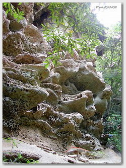 双石山（ぼろいし山）-針ノ耳神社と上の岩（天狗岩）２