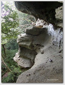 双石山（ぼろいし山）-針ノ耳神社上の岩（天狗岩）５　右上部より
