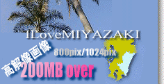 �摜�@Total 200MB Over