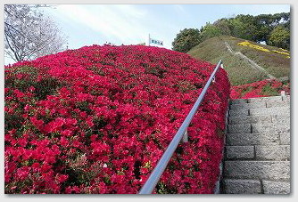 久峰公園　展望台への登り階段とツツジ