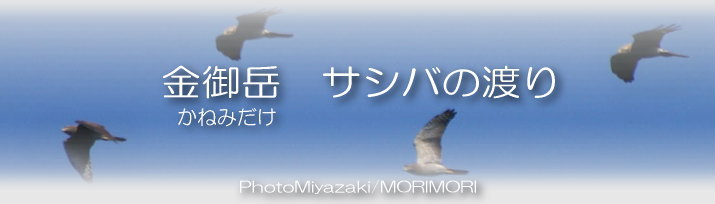 ����x�@�T�V�o�̓n��@�^�C�g��