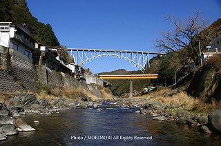 �_���勴�̎ʐ^�@2010-04