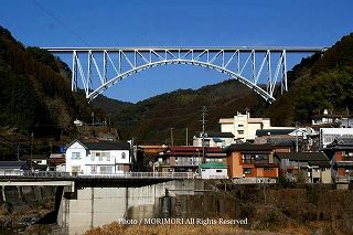 �_���勴�̎ʐ^�@2010-05