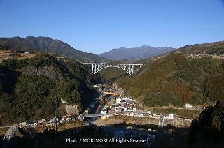 �_���勴�̎ʐ^�@2010-08