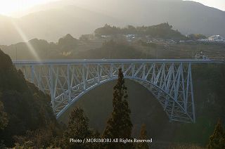 �_���勴�̎ʐ^�@2010-10