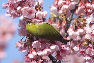 �J���q�U�N��(�����)�ƃ��W���@���ǂ��̂��Ɂ@2008�@�ǉ��ʐ^�@02a