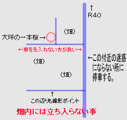 大坪の一本桜の地図現地詳細