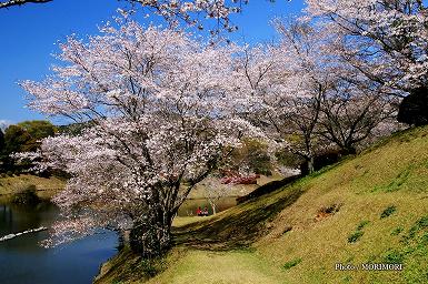 �ω��r�����i�s��s���钬�j�̍��@04
