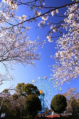 �ω��r�����i�s��s���钬�j�̍��@08