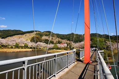 石山観音池の橋