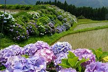 �{�茧�@�������@�k����@�Ŗ삠���������[�h�̎ʐ^�@a01