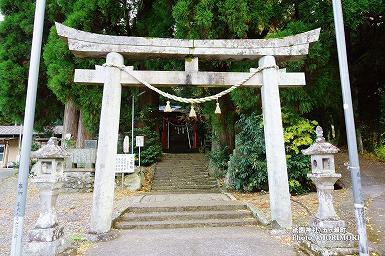 祇園神社 鳥居と参道