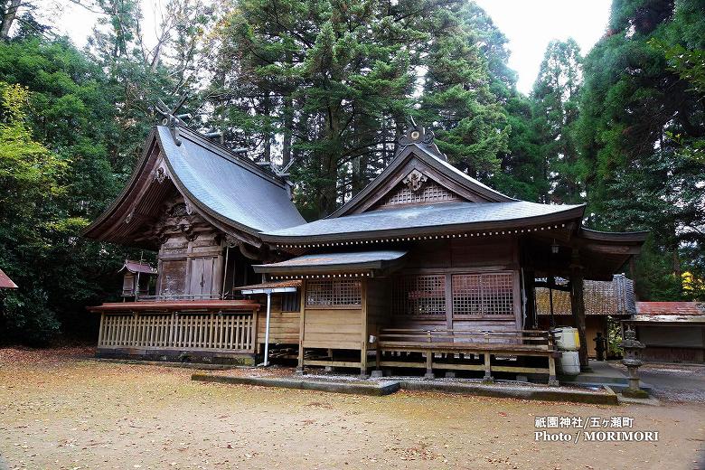 祇園神社拝殿と本殿
