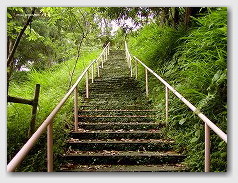 木花神社へ昇る階段