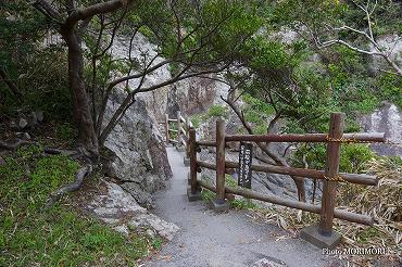 大御神社境内社　鵜戸神社へ降りる階段　