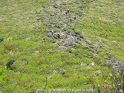 獅子戸岳への登山道　結構登りやすい。