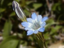 �n�������h�E