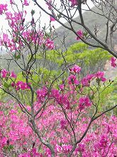 �V�R�x�ƕ��@�L���V�}�~�c�o�c�c�W�@02