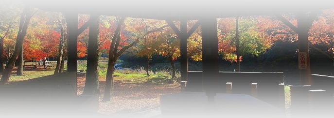 青井岳キャンプ場の紅葉