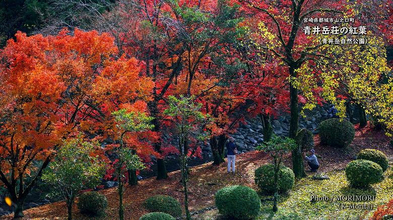 青井岳温泉 青井岳荘（青井岳自然公園）の紅葉