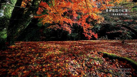 青井岳温泉 青井岳荘（青井岳自然公園）の紅葉