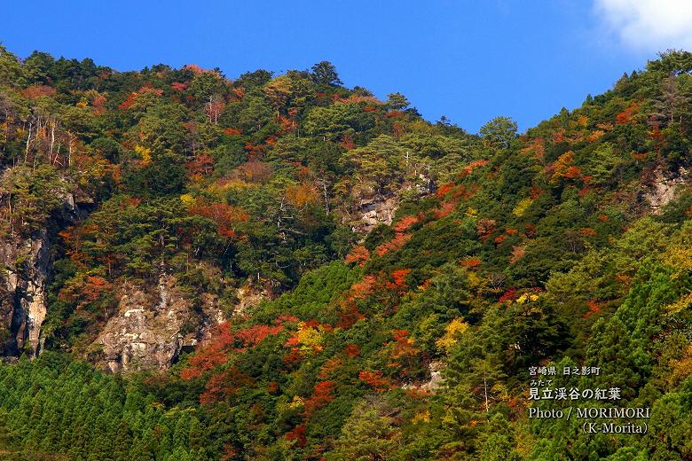 見立渓谷の紅葉