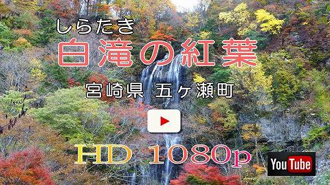 宮崎県五ヶ瀬町　白滝の紅葉の動画