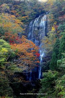 �{�茧�܃������@����̍g�t�̎ʐ^�@01