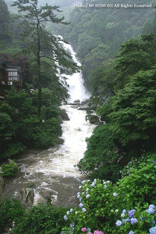 見帰りの滝（見返りの滝）（日本の滝百選）の写真　佐賀県唐津市