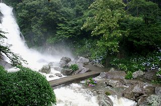 見帰りの滝（見返りの滝）（日本の滝百選）　の写真佐賀県唐津市