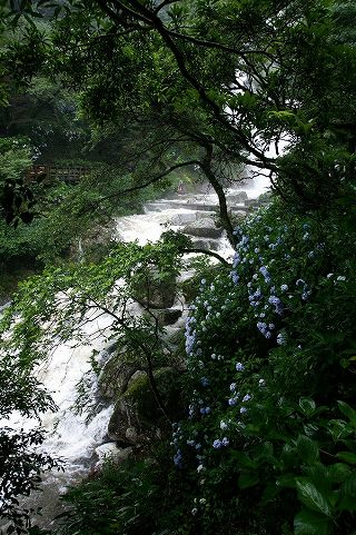 見帰りの滝（見返りの滝）（日本の滝百選）の写真　佐賀県唐津市