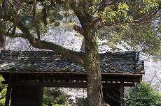岡山神社 神門