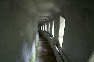 痢i痢̑jւ̕@OQ