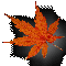 �g�t
