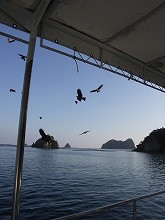 �}�����r���[���[�싽�@�g���r�̉a�t��03
