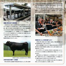 2015N ̉ԉ΂ƉyUvO 04