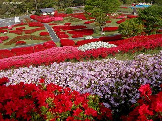 �Ŕ��d�����i�{�茧�O�Ғ��j�c�c�W�@�O�P