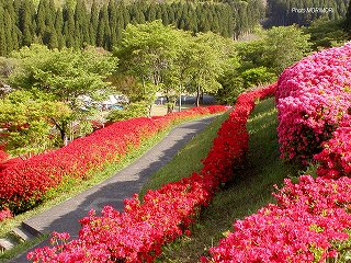�Ŕ��d�����i�{�茧�O�Ғ��j�c�c�W�@�O�Q