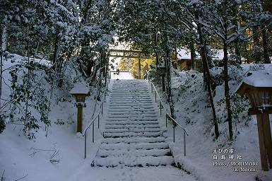 積雪した白鳥神社