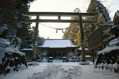 積雪した白鳥神社