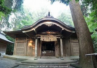 �����ӂ�_�Ё@08�N�B�e�ʐ^�@06