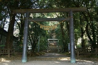 天岩戸神社 （東本宮）の写真　01