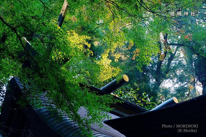 槵觸神社本殿