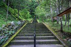 高千穂　秋元神社　03　階段