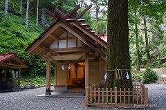 高千穂　秋元神社　07　拝殿と御神木のイチョウ