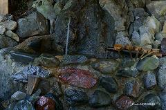 高千穂　秋元神社　11　御神水