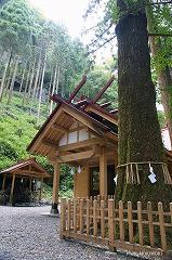 高千穂　秋元神社　13　拝殿と御神木