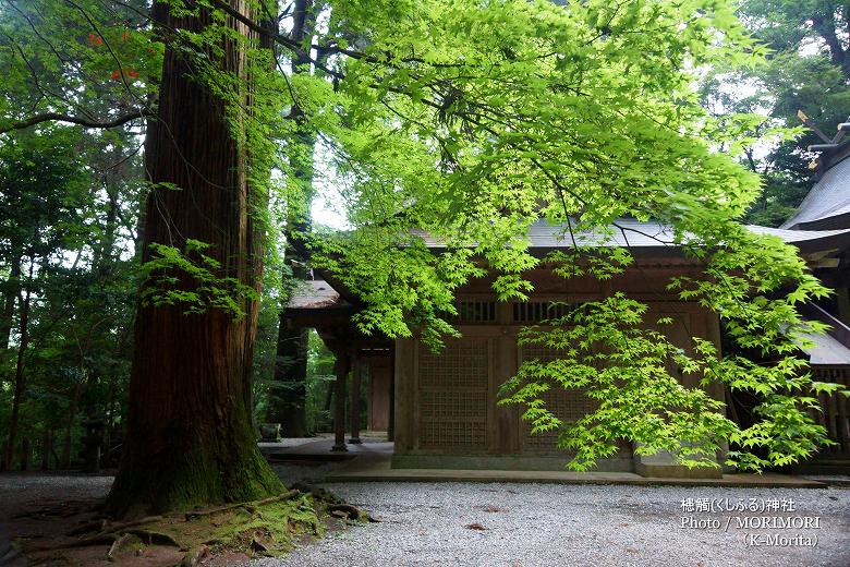 新緑の槵觸神社