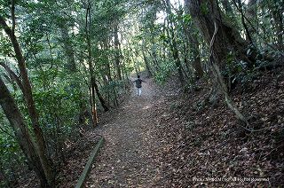 九州自然歩道