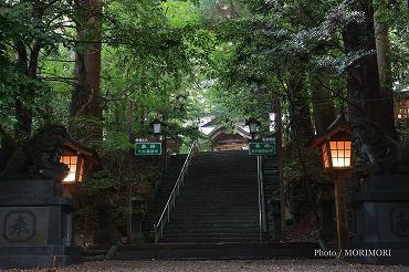 高千穂神社 参道 石段 高千穂神社 参道 石段